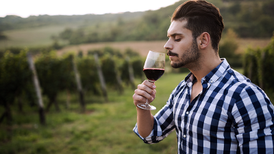 Curso: Viñas, Vinos, Catas y Maridajes
