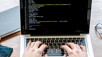 Professional Front End Developer